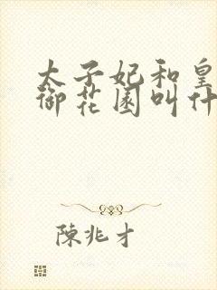 太子妃和皇帝在御花园叫什么小说