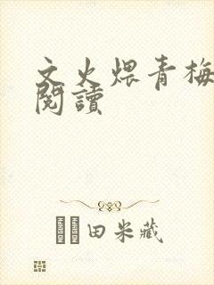 文火煨青梅免费阅读