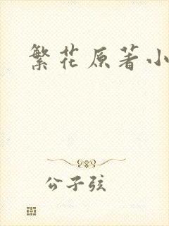 繁花原著小说封面