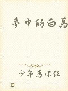 梦中的白马封面