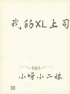 我的XL上司
