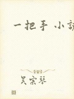 一把手 小说