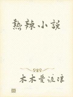 热辣小说