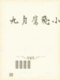 九月鹰飞小说封面