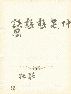 铁憨憨是什么意思封面