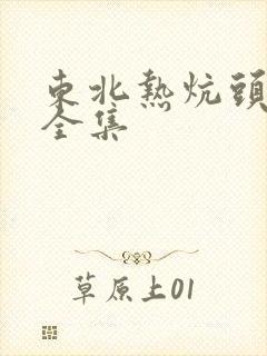 东北热炕头小说全集封面
