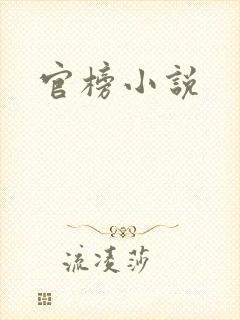 官榜小说封面