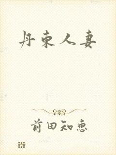丹东人妻封面