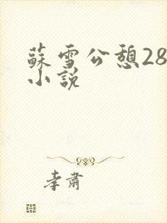 苏雪公憩28篇小说