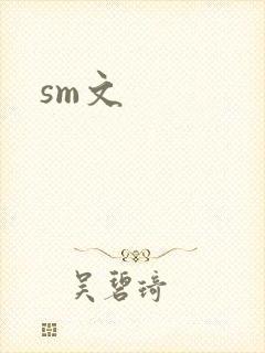 sm文封面