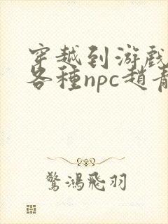 穿越到游戏里和各种npc赵青蔓封面