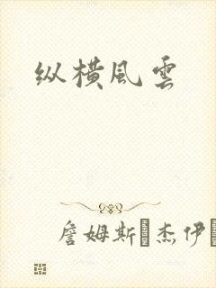 纵横风云