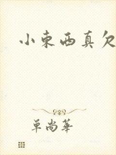 小东西真欠弄