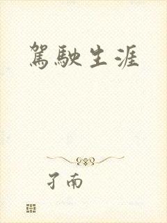 驾驶生涯