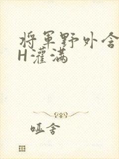 将军野外含公主H灌满