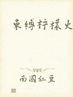 束缚柠檬火焰封面
