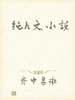纯h文小说封面