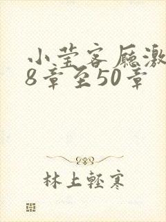 小莹客厅激情38章至50章封面