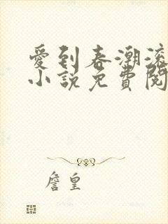 爱到春潮滚滚来小说免费阅读封面