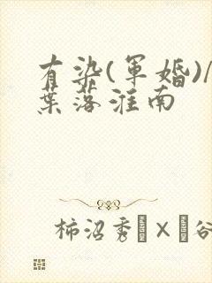 有染(军婚)/叶落淮南