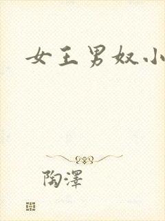 女王男奴小说封面
