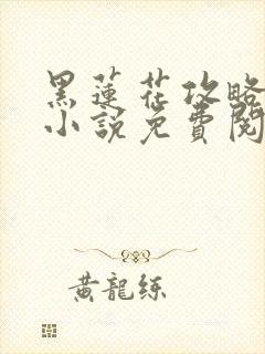 黑莲花攻略手册小说免费阅读