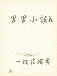 男男小说h