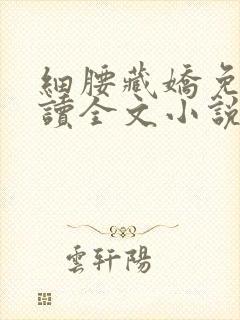 细腰藏娇免费阅读全文小说苏珞浅