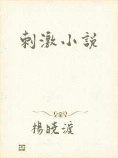 刺激小说