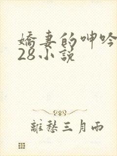 娇妻的呻吟1—28小说