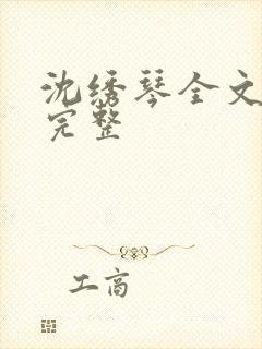 沈绣琴全文阅读完整