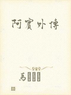 阿宾外传