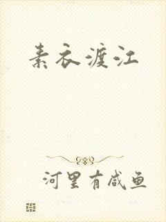 素衣渡江封面