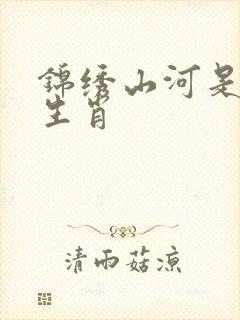 锦绣山河是什么生肖封面
