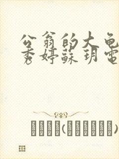 公翁的大龟挺进秀婷苏玥电影