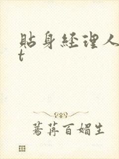 贴身经理人txt