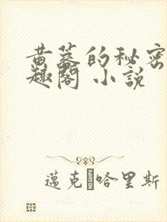 黄蓉的秘密 笔趣阁 小说