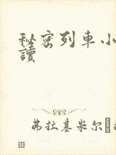 秘密列车小说阅读
