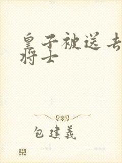 皇子被送去犒劳将士