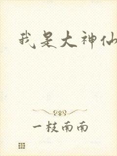 我是大神仙小说