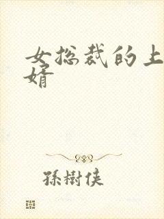 女总裁的上门女婿