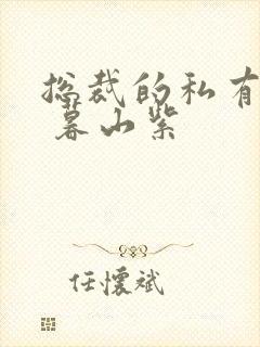 总裁的私有宝贝 暮山紫