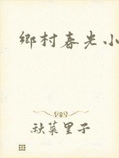 乡村春光小说