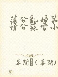 荡公乱妇第1章情公苏雪小说