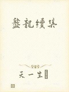 盘龙续集