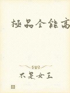 极品全能高手