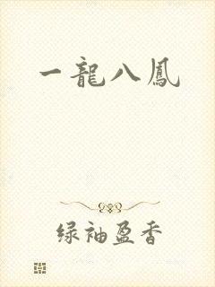 一龙八凤封面
