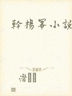 干杨幂小说
