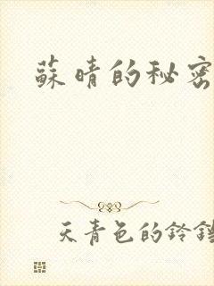 苏晴的秘密小说