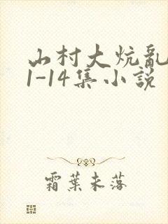山村大炕乱肉续1-14集小说封面
